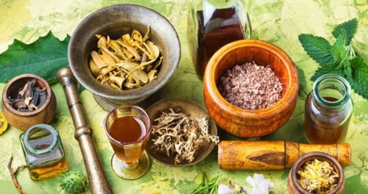 Discover Vaidyagrama: Authentic Ayurvedic Healing in South India